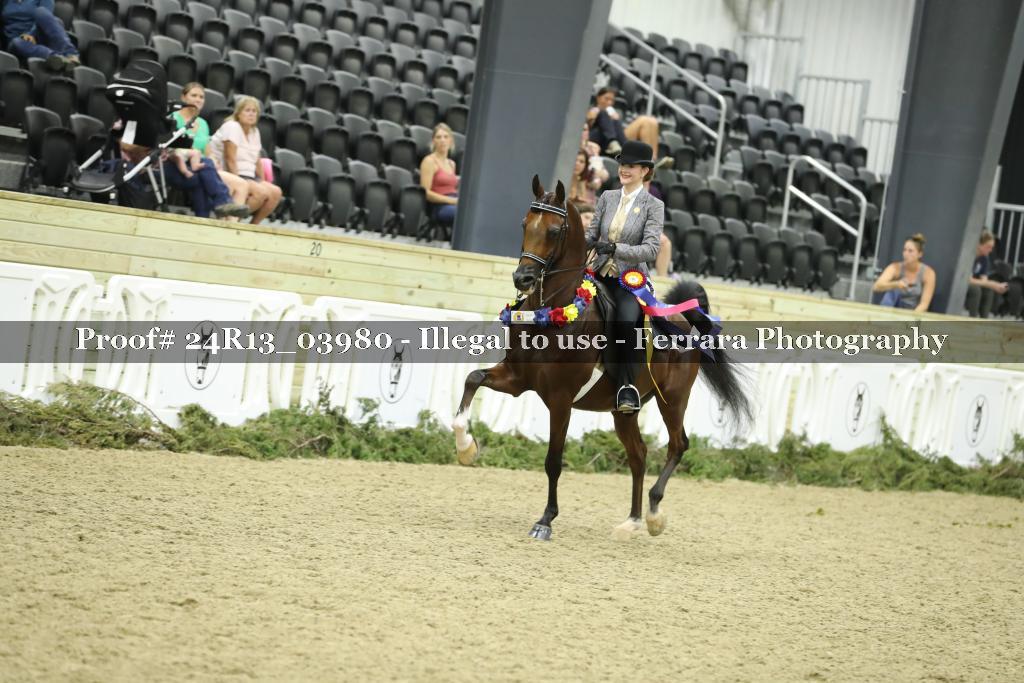 Proof 24R13_03980