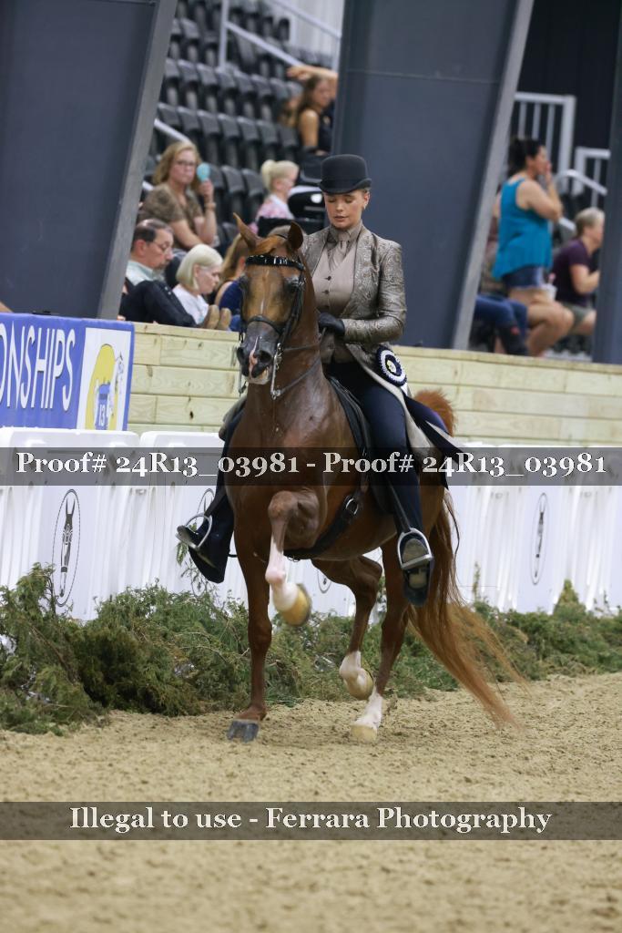 Proof 24R13_03981