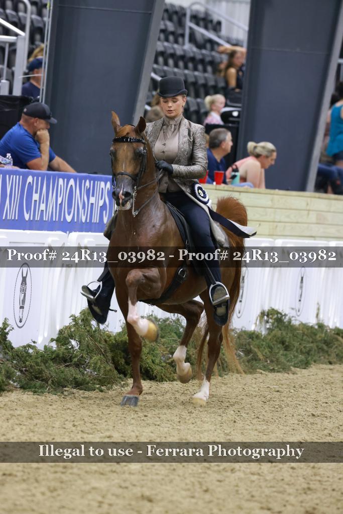Proof 24R13_03982