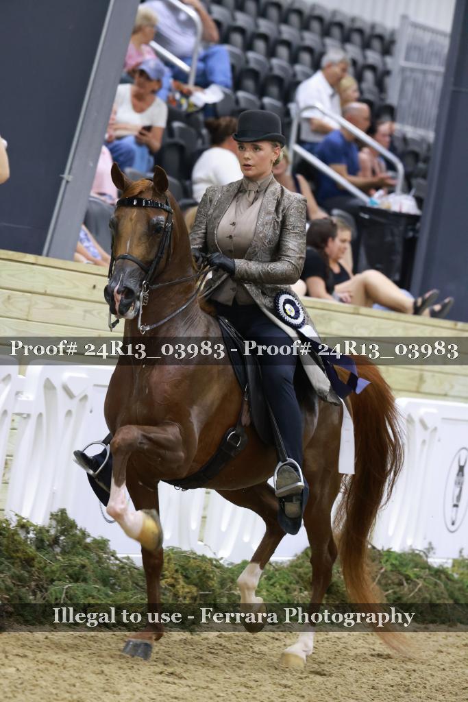 Proof 24R13_03983