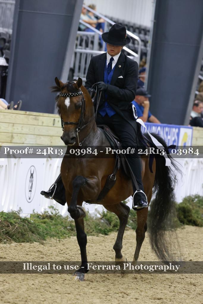 Proof 24R13_03984