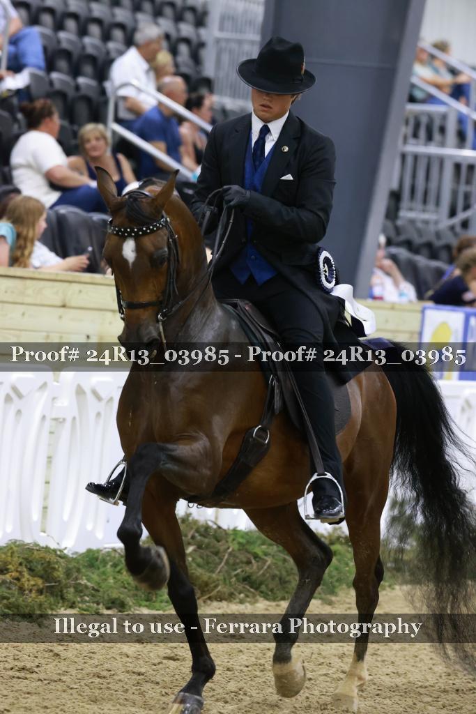 Proof 24R13_03985