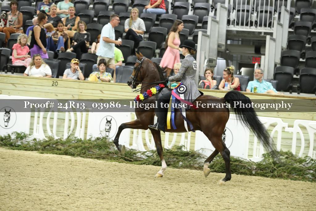 Proof 24R13_03986