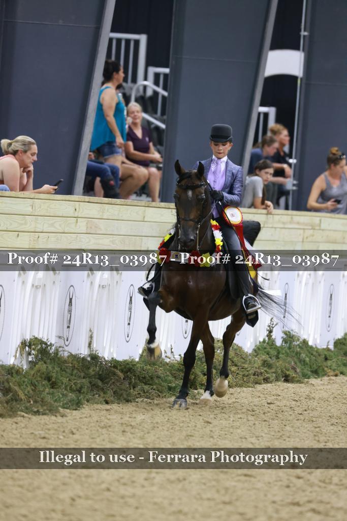 Proof 24R13_03987