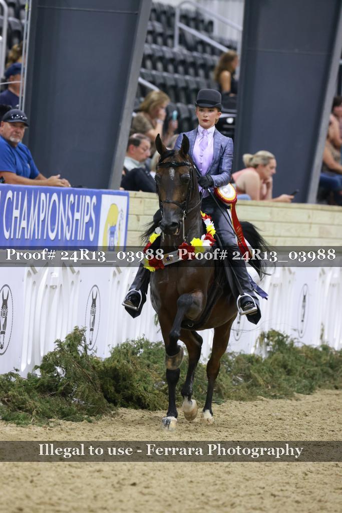 Proof 24R13_03988