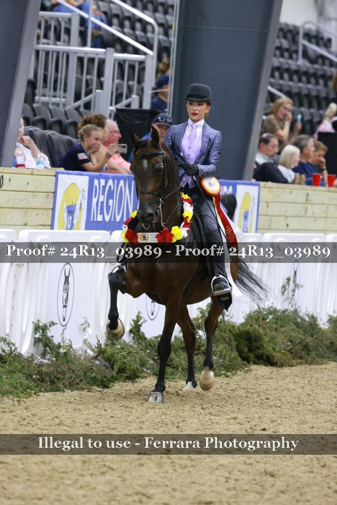 Proof 24R13_03989