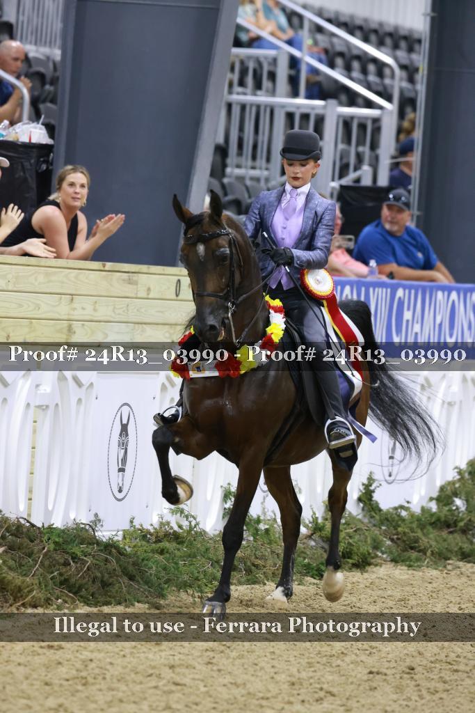 Proof 24R13_03990