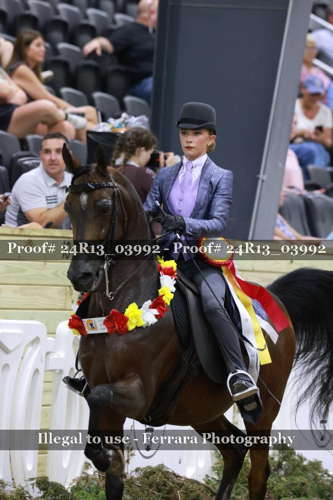 Proof 24R13_03992