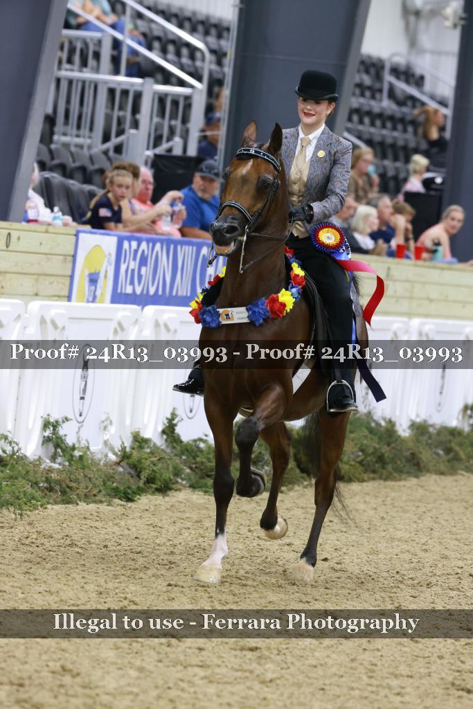 Proof 24R13_03993