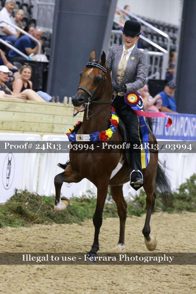Proof 24R13_03994