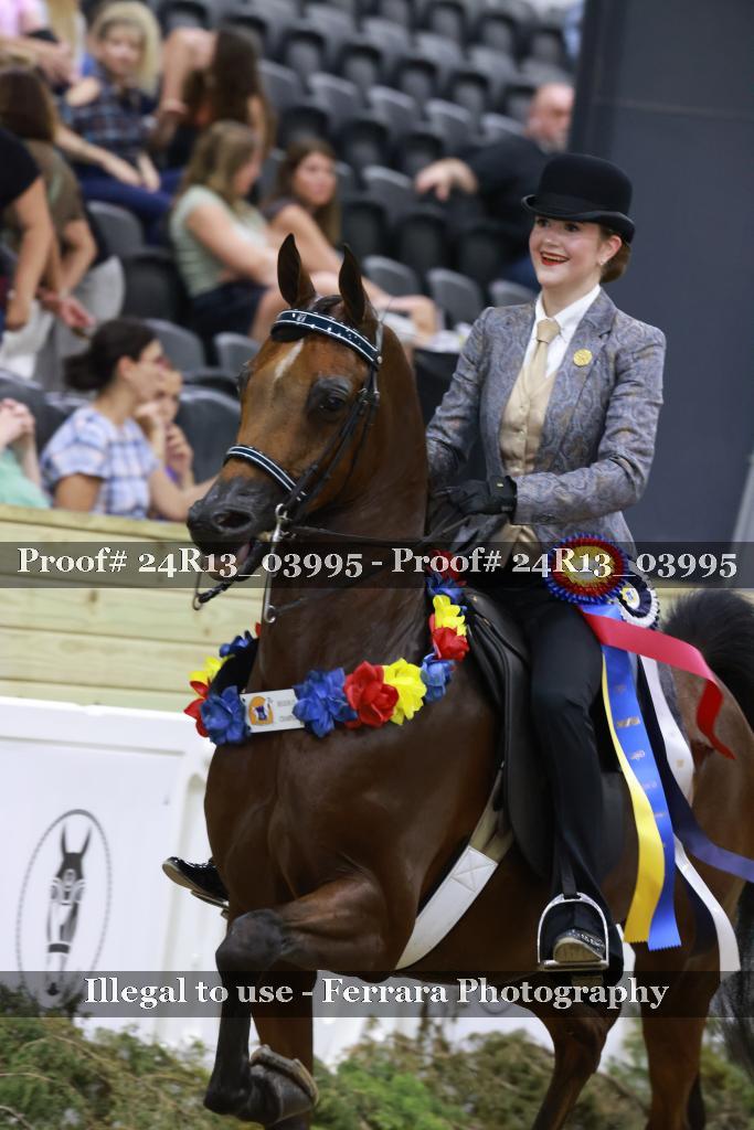 Proof 24R13_03995