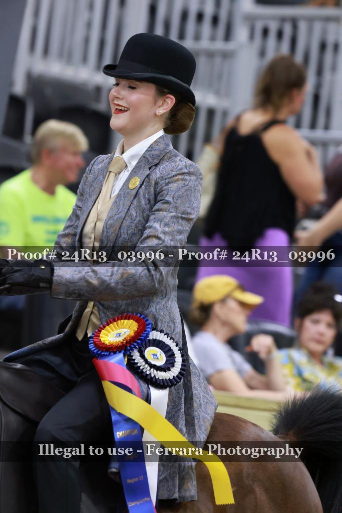 Proof 24R13_03996
