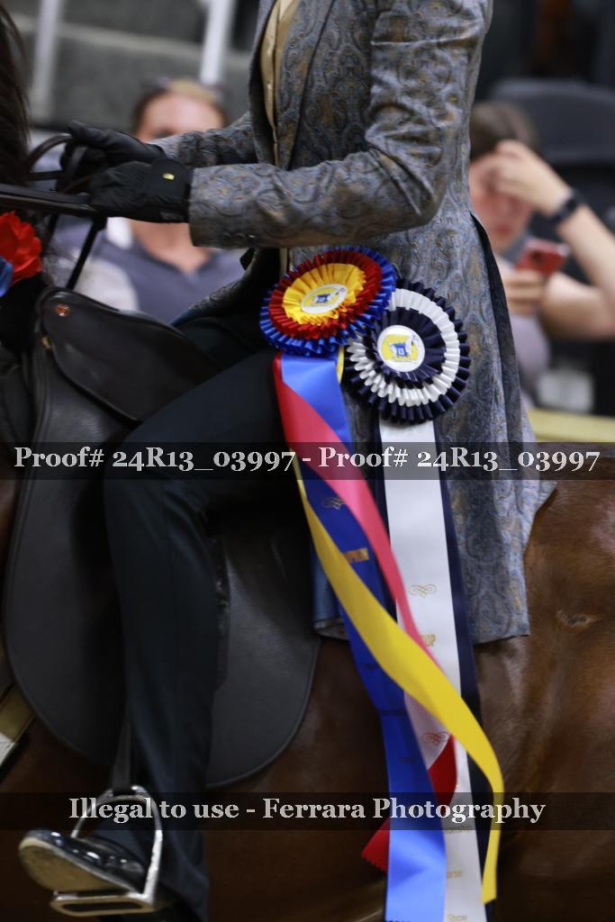 Proof 24R13_03997