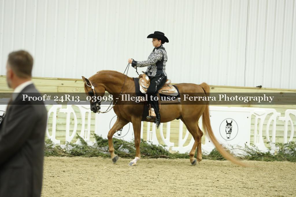 Proof 24R13_03998