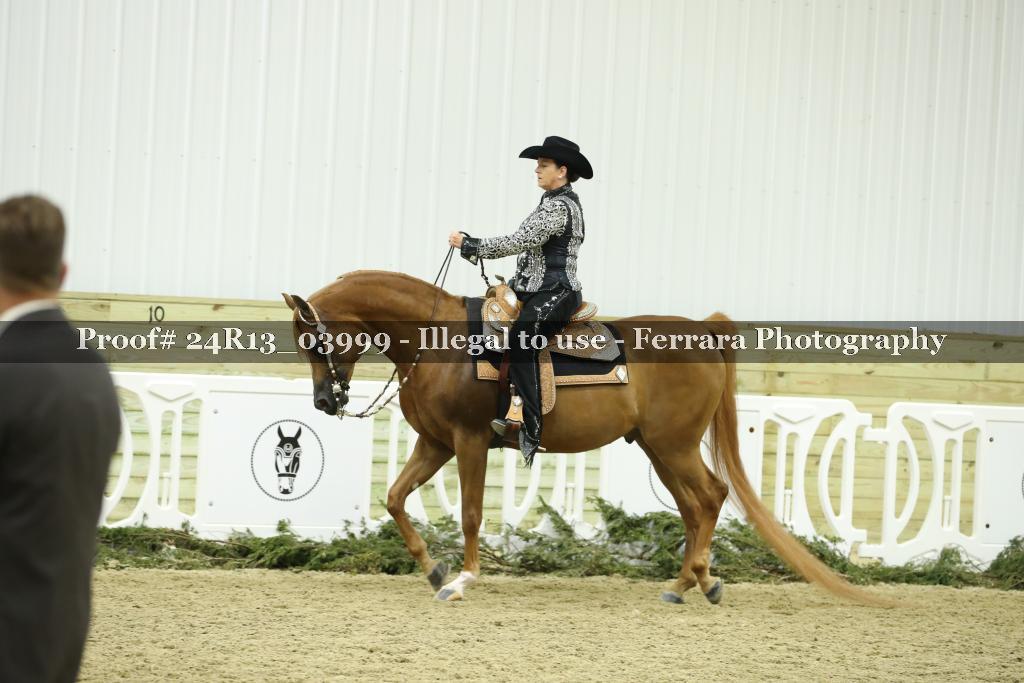 Proof 24R13_03999
