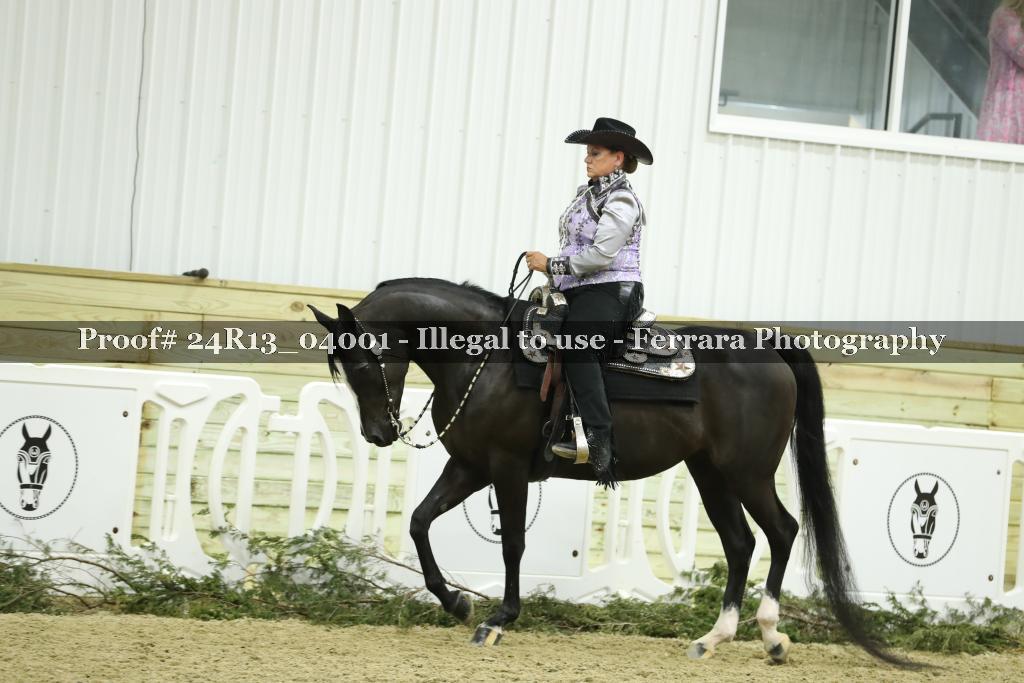 Proof 24R13_04001