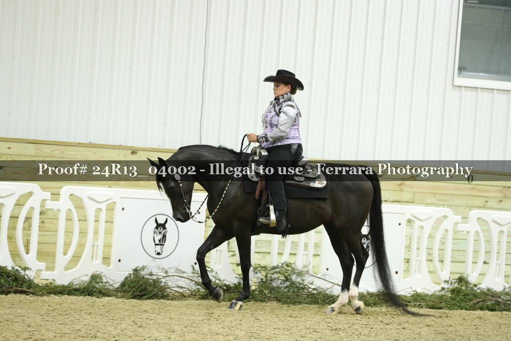 Proof 24R13_04002