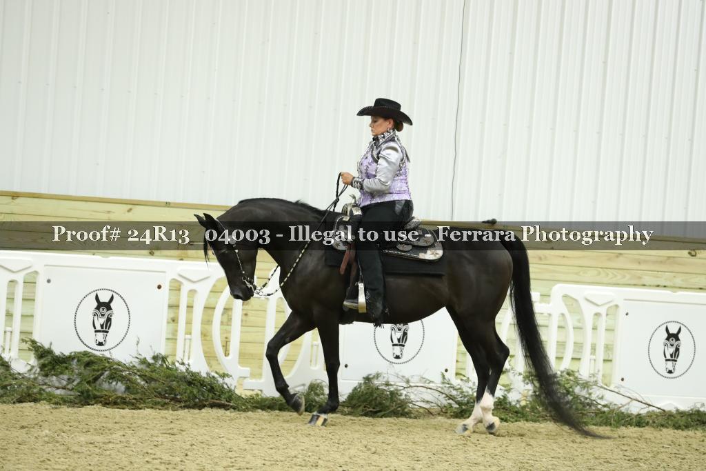 Proof 24R13_04003