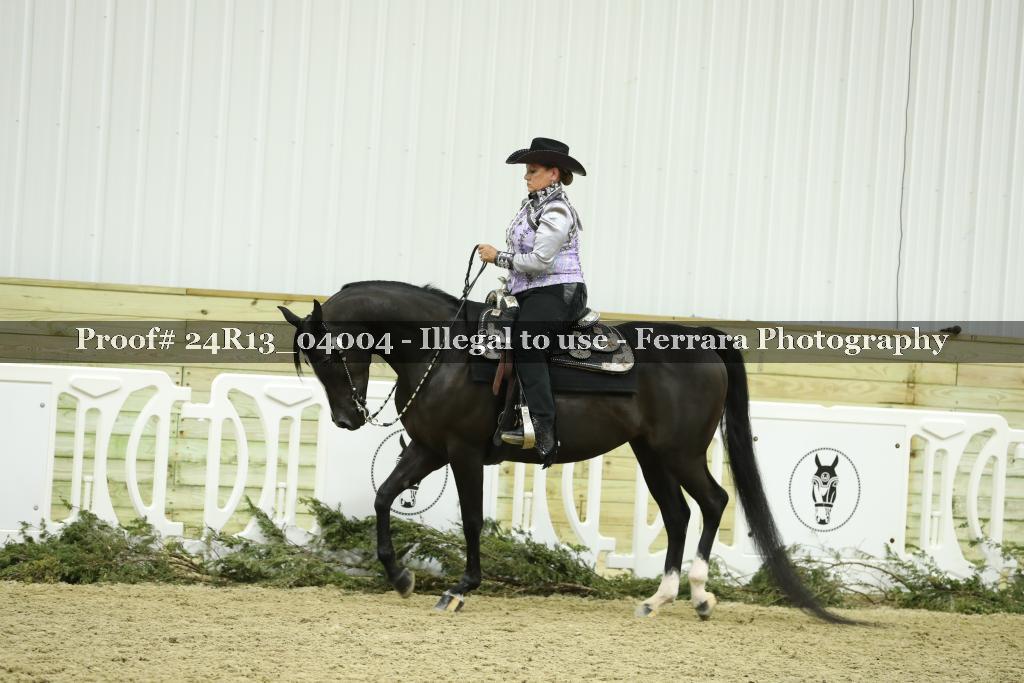 Proof 24R13_04004