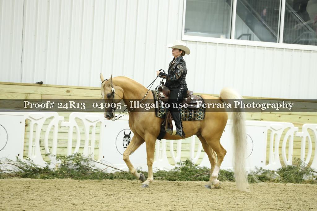 Proof 24R13_04005