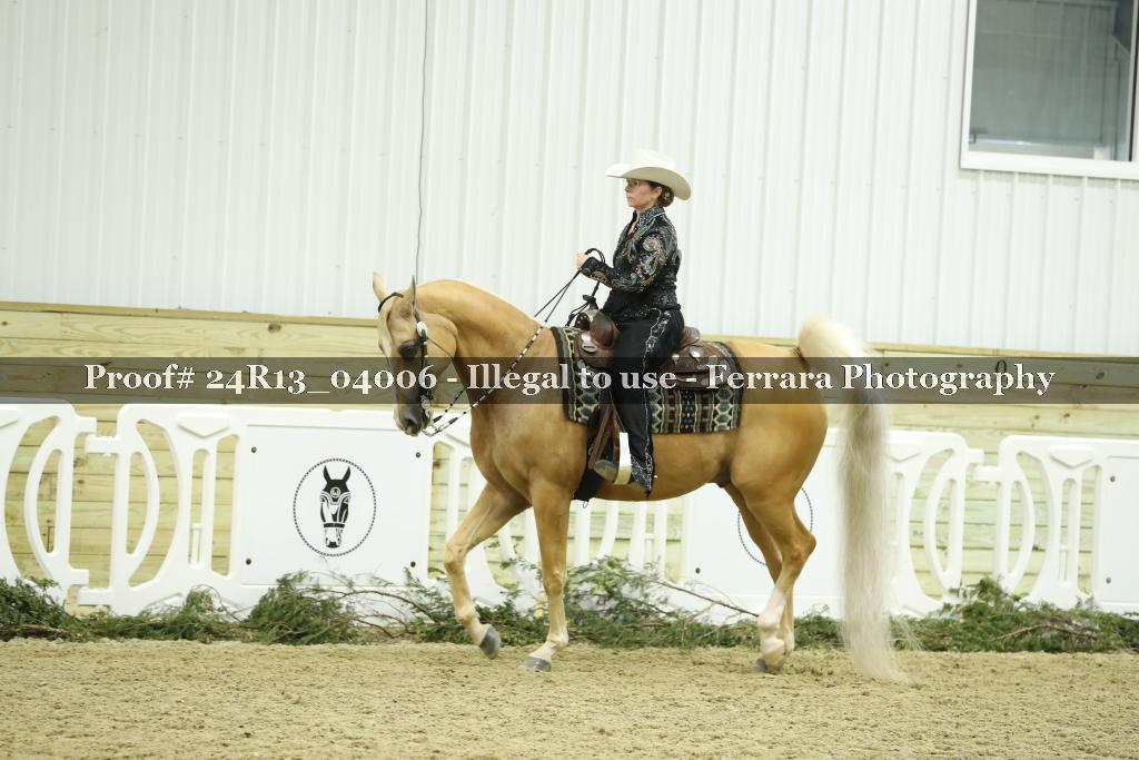 Proof 24R13_04006