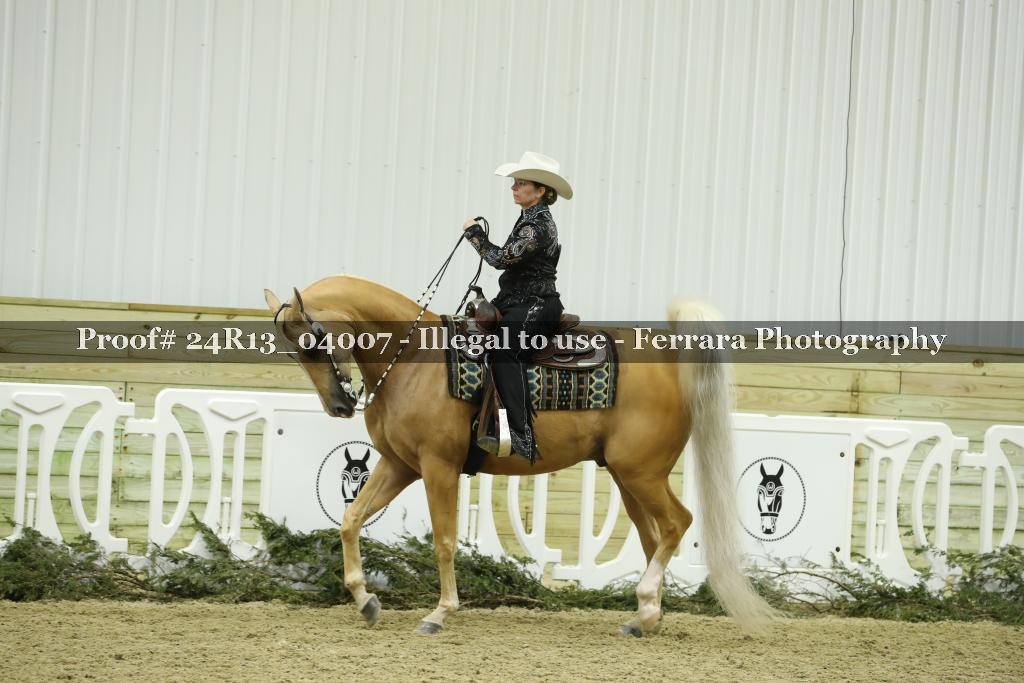 Proof 24R13_04007