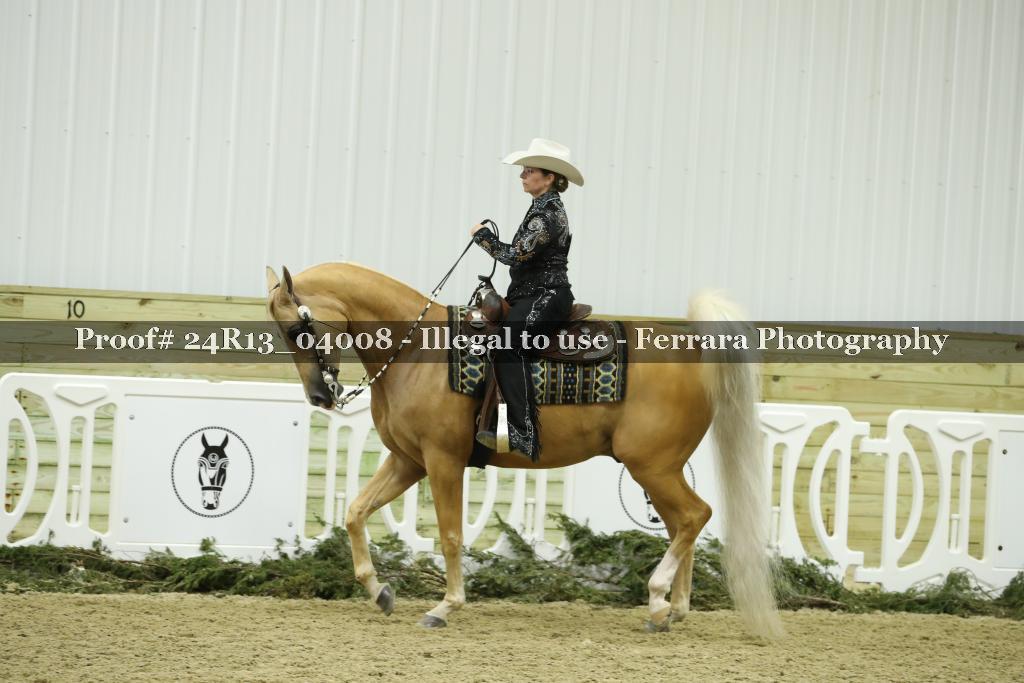 Proof 24R13_04008