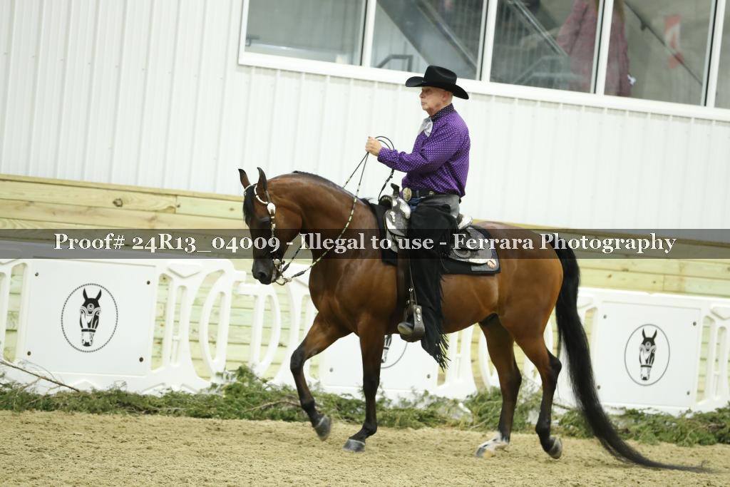 Proof 24R13_04009