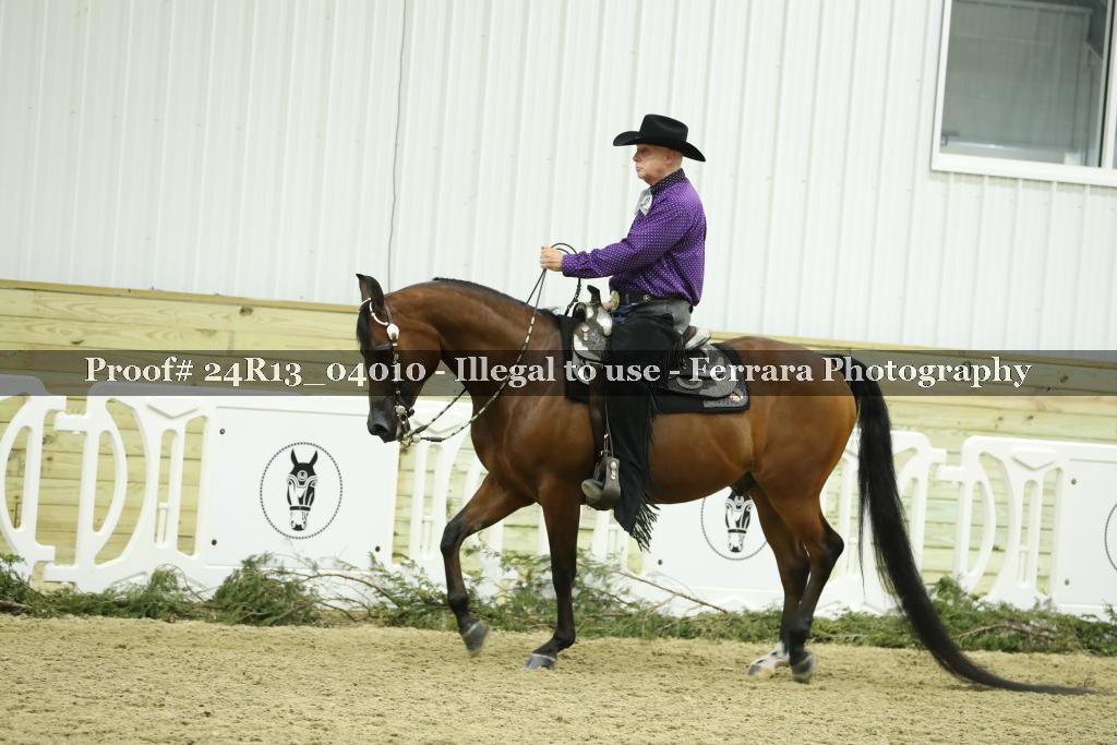 Proof 24R13_04010