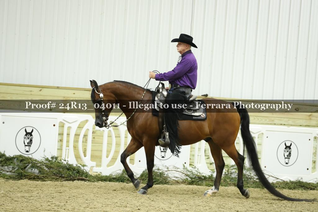 Proof 24R13_04011