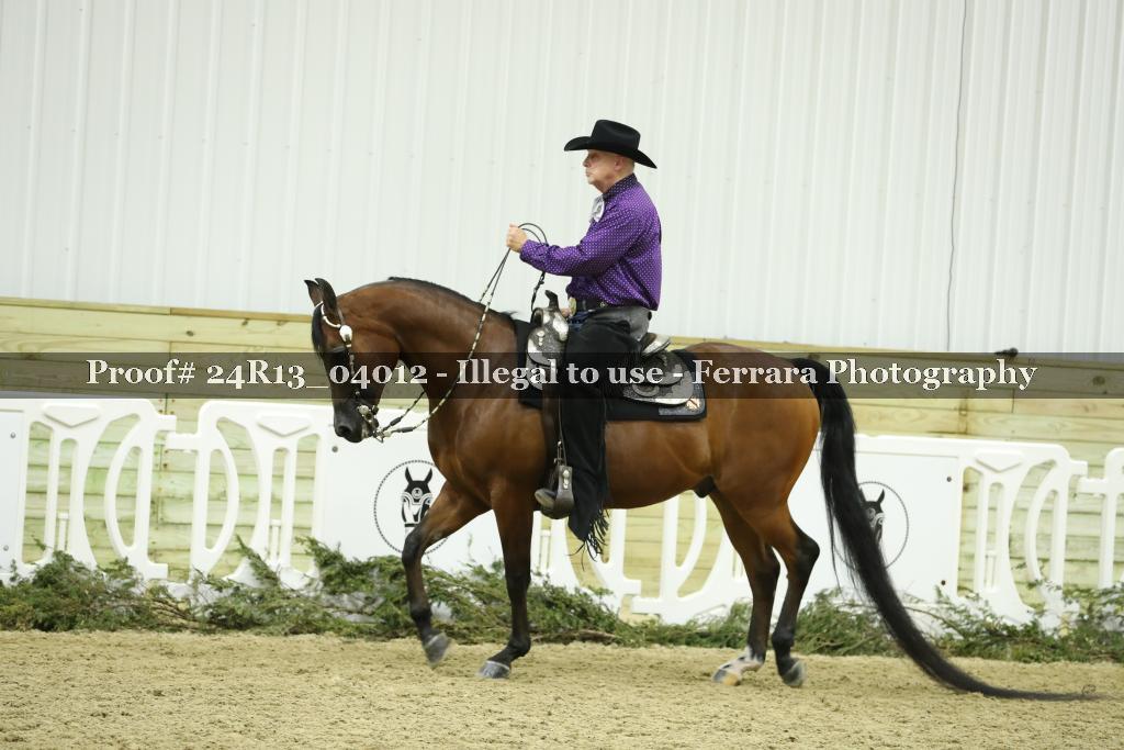 Proof 24R13_04012