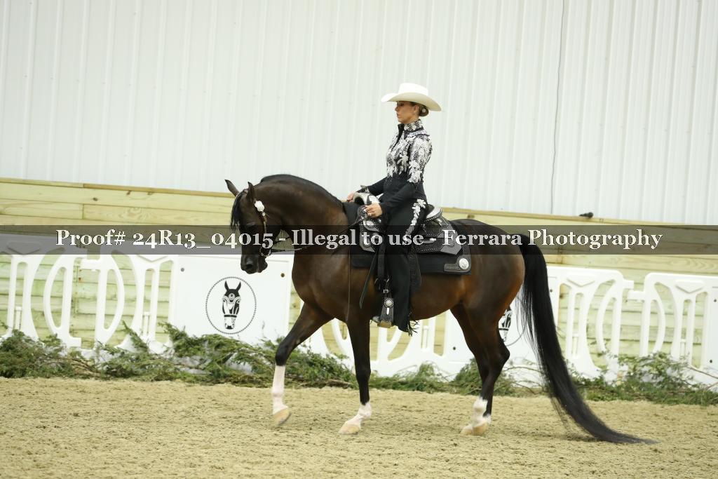 Proof 24R13_04015