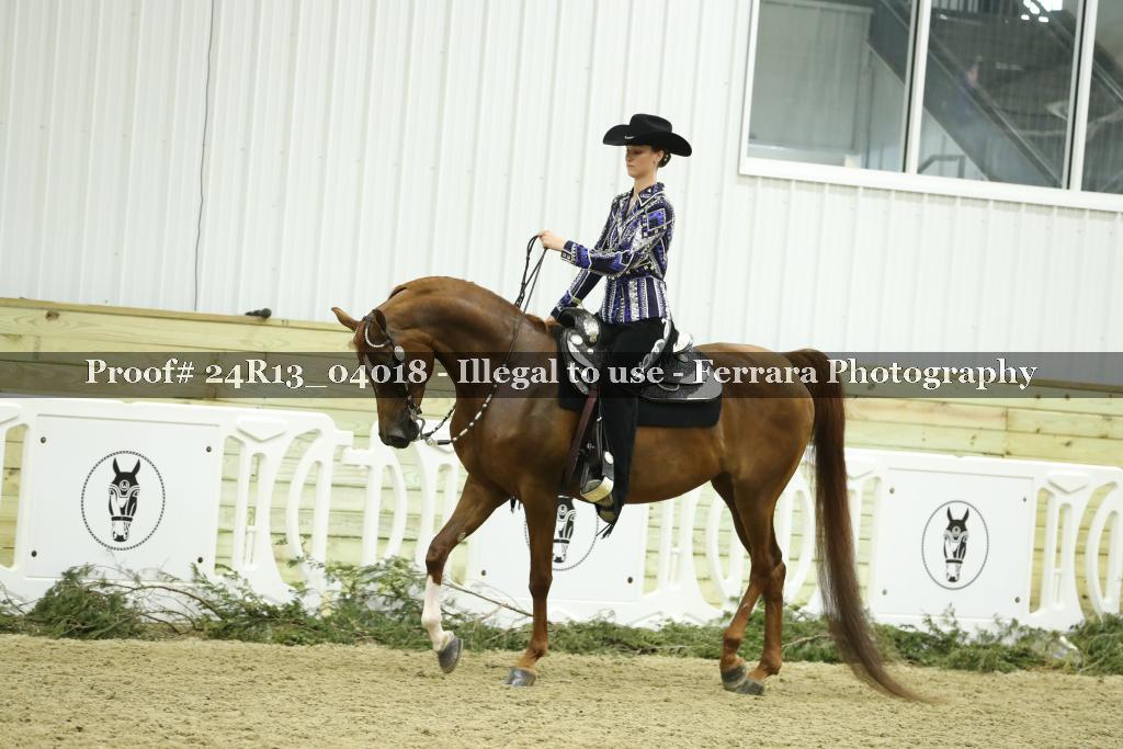 Proof 24R13_04018