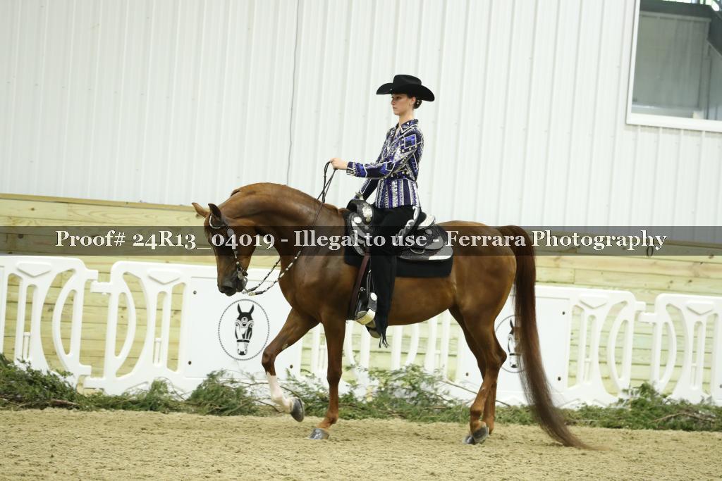 Proof 24R13_04019