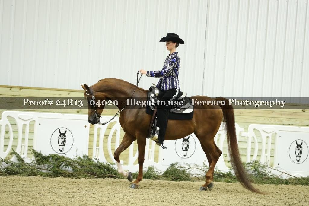 Proof 24R13_04020