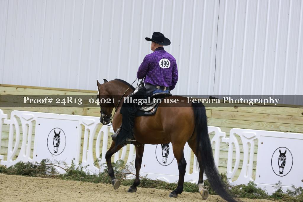 Proof 24R13_04021