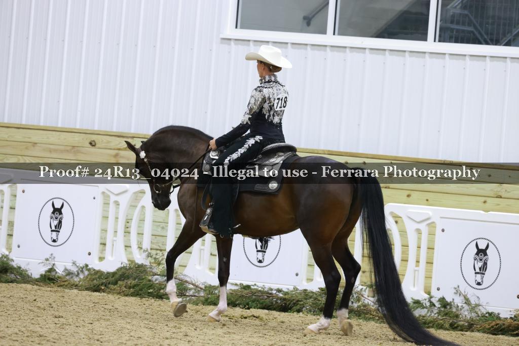 Proof 24R13_04024