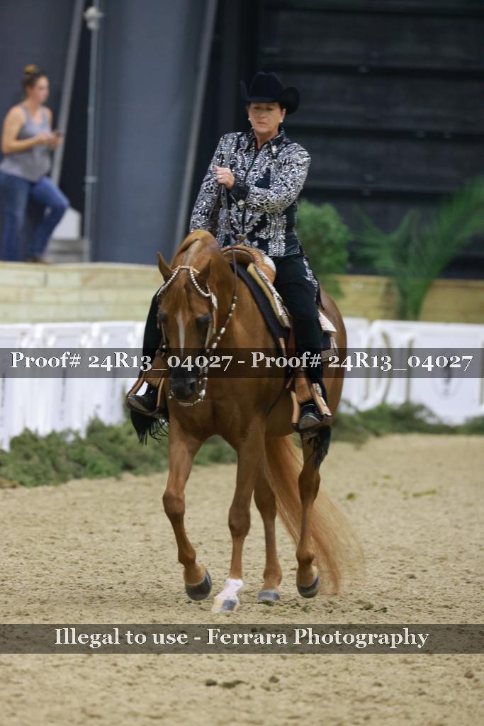 Proof 24R13_04027