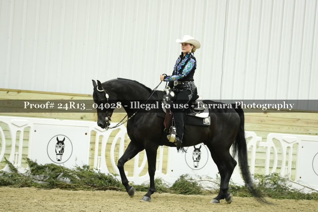 Proof 24R13_04028