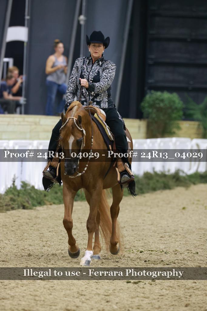 Proof 24R13_04029