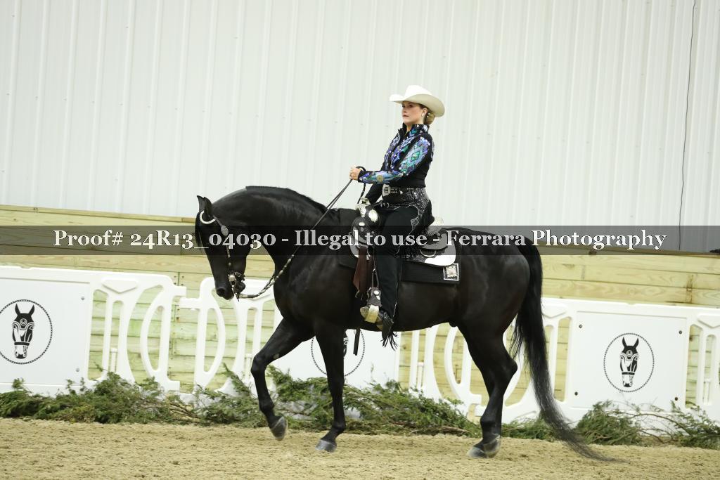 Proof 24R13_04030