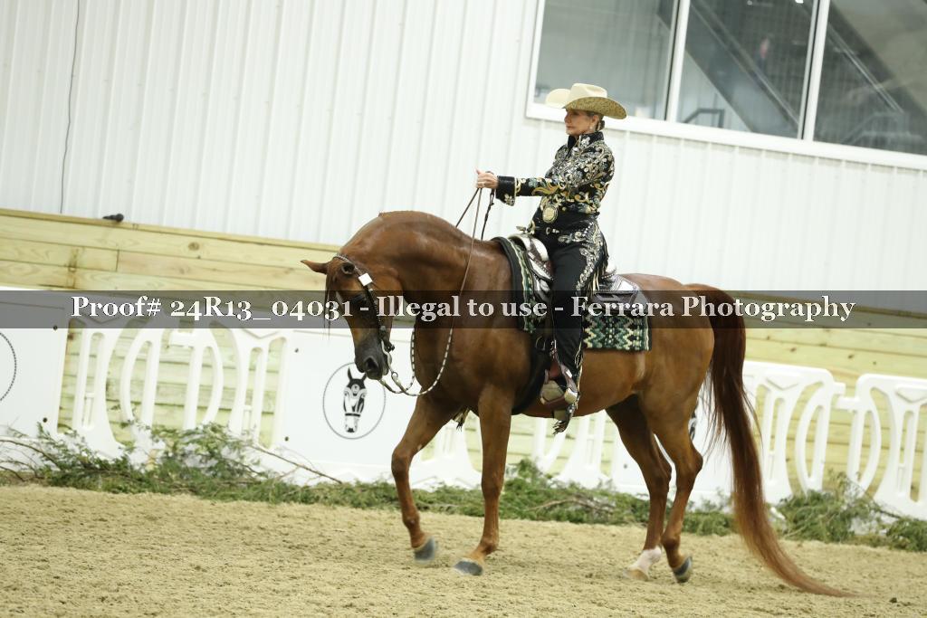 Proof 24R13_04031