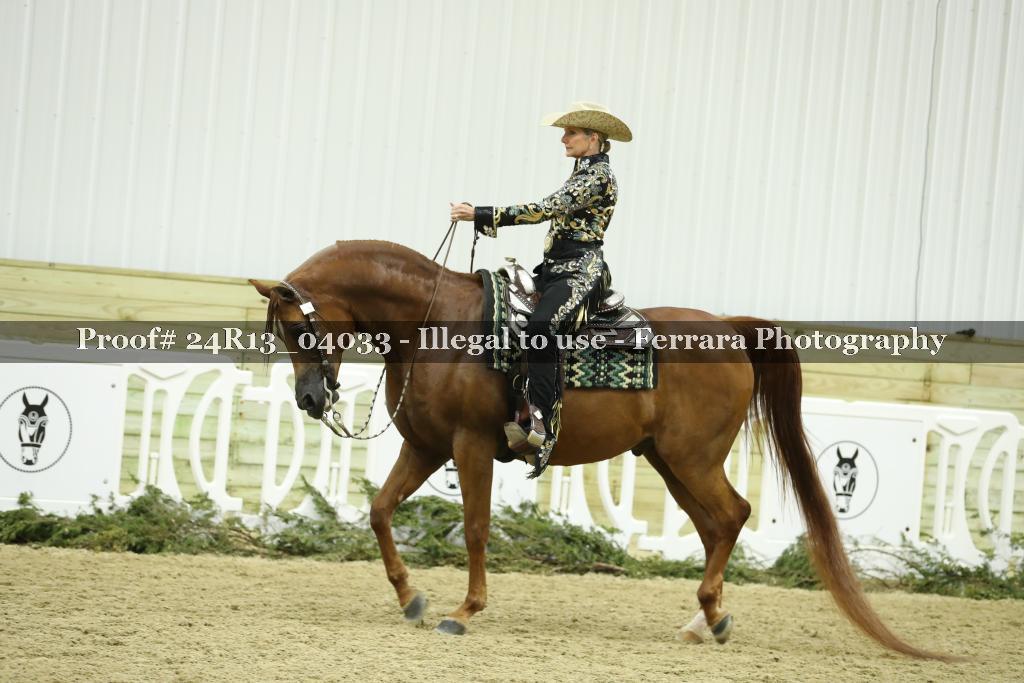 Proof 24R13_04033