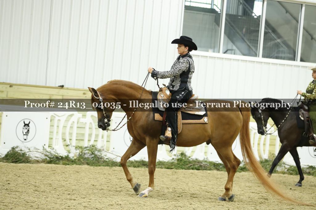 Proof 24R13_04035
