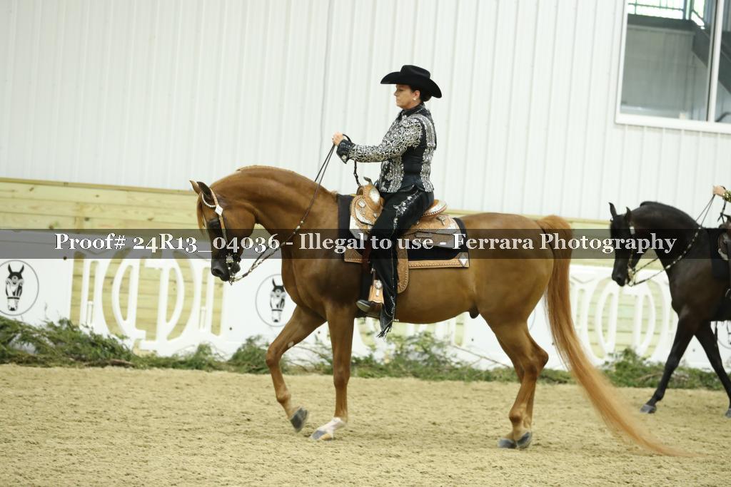 Proof 24R13_04036