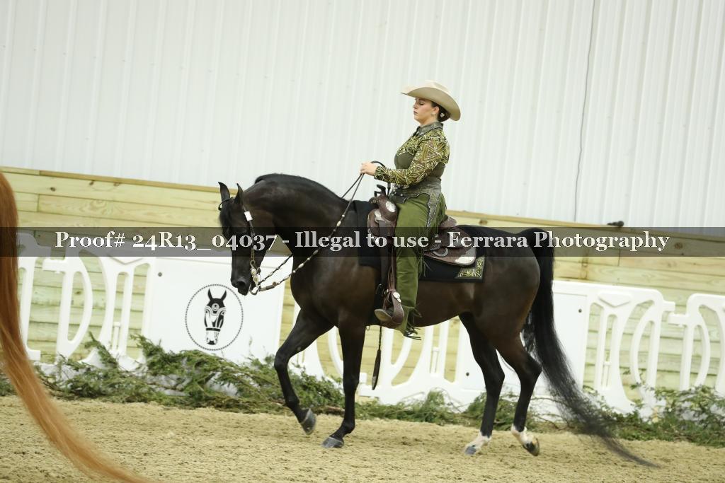 Proof 24R13_04037