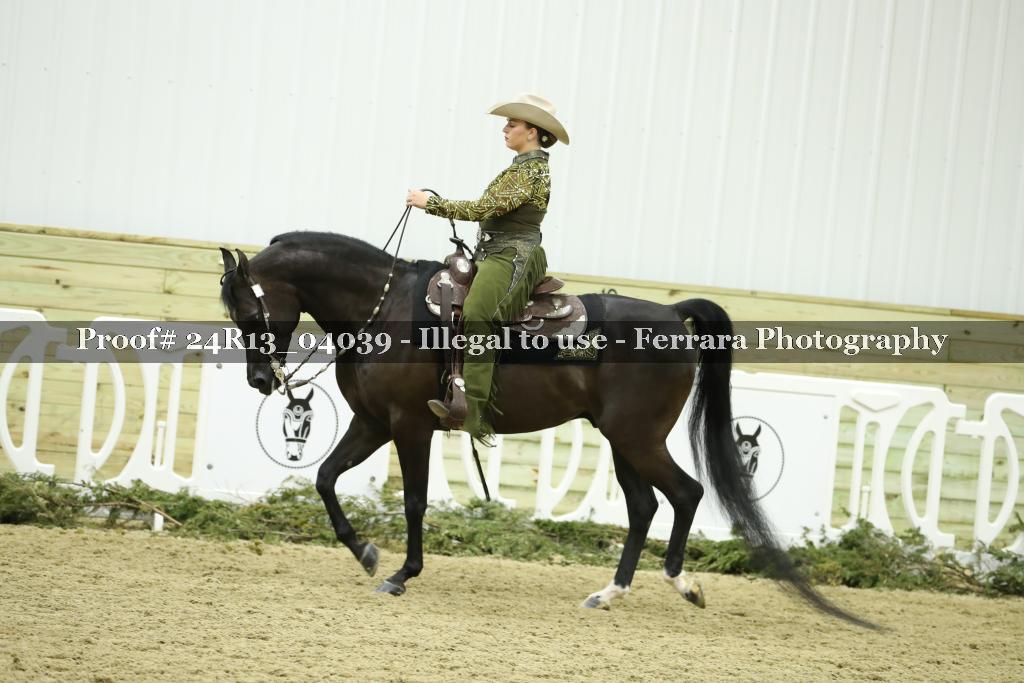 Proof 24R13_04039