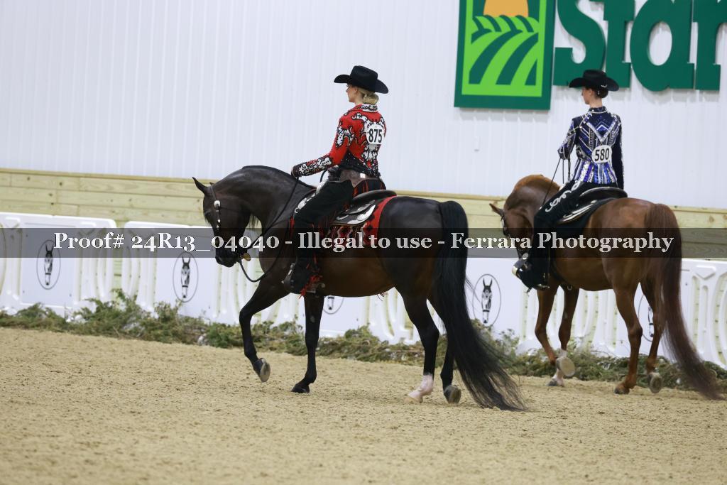 Proof 24R13_04040