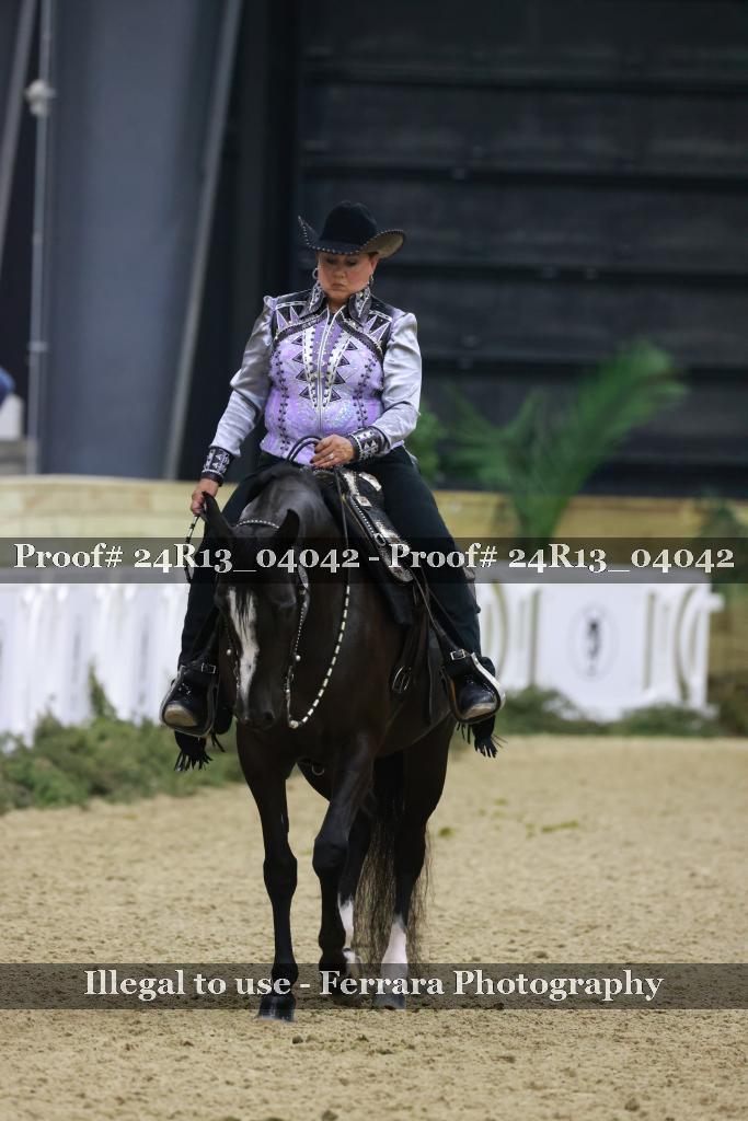 Proof 24R13_04042
