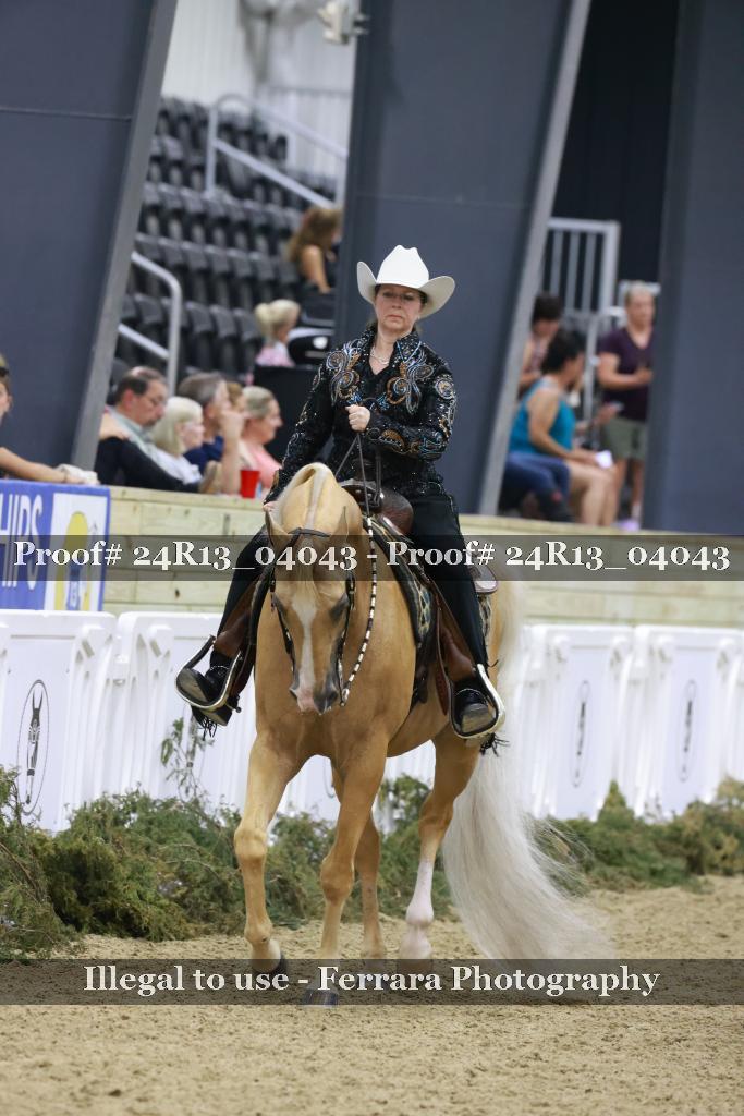 Proof 24R13_04043